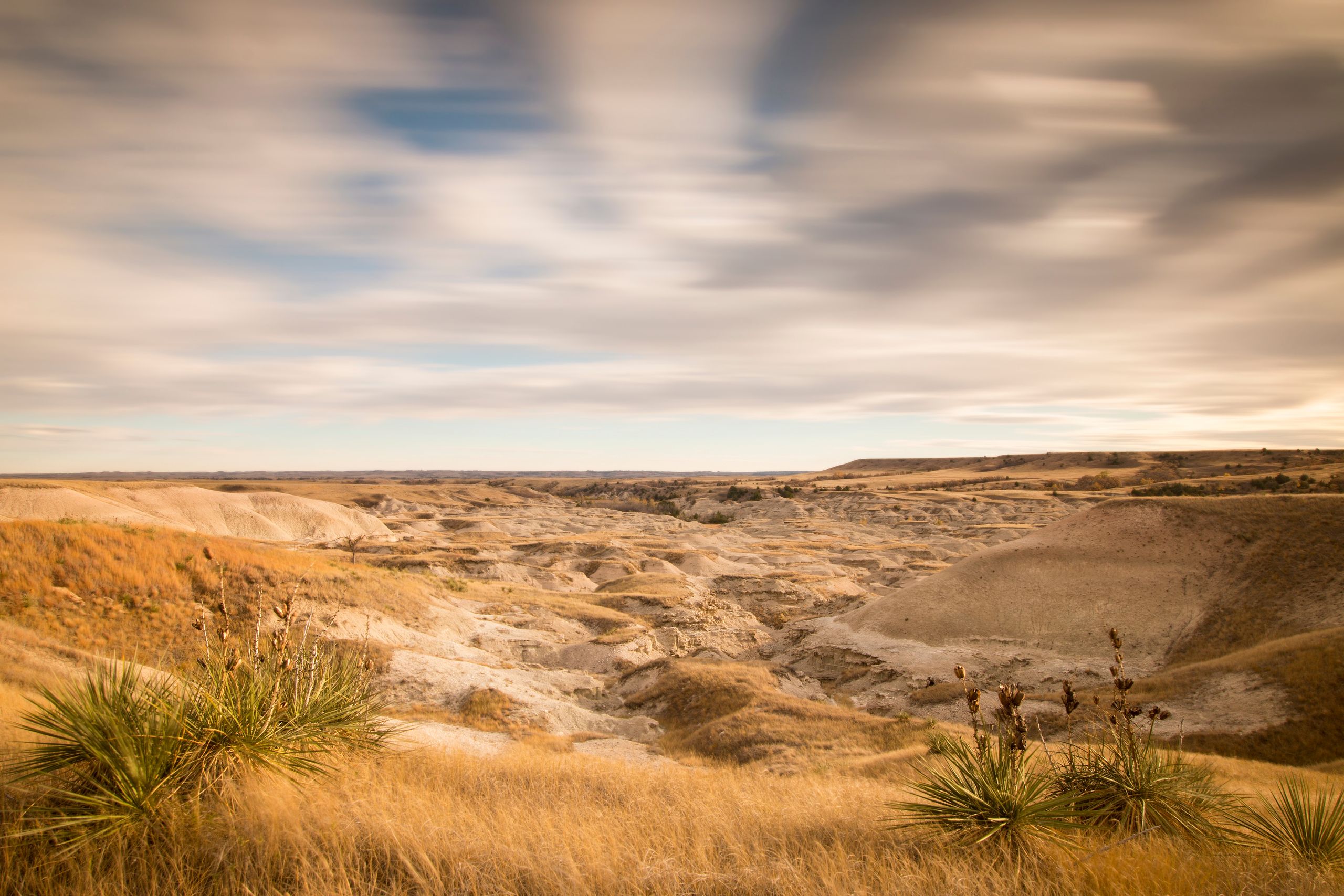 Desert Banner